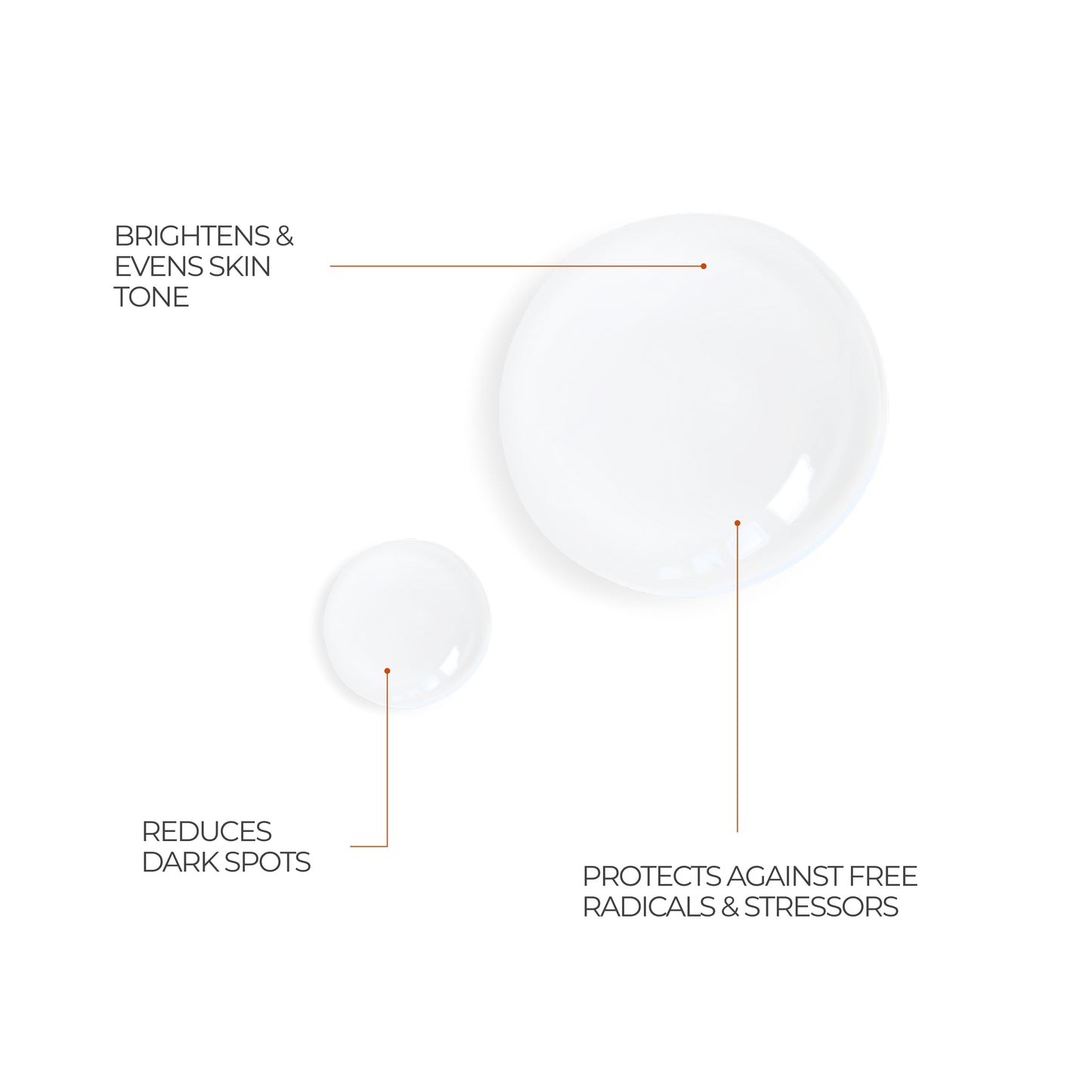 Vitamin C+ Brightening Serum