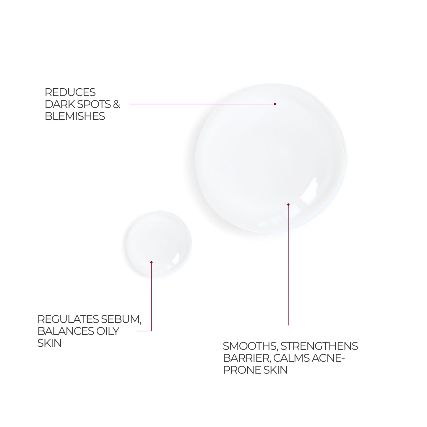 Niacinamide 10% + Zinc 1% Serum