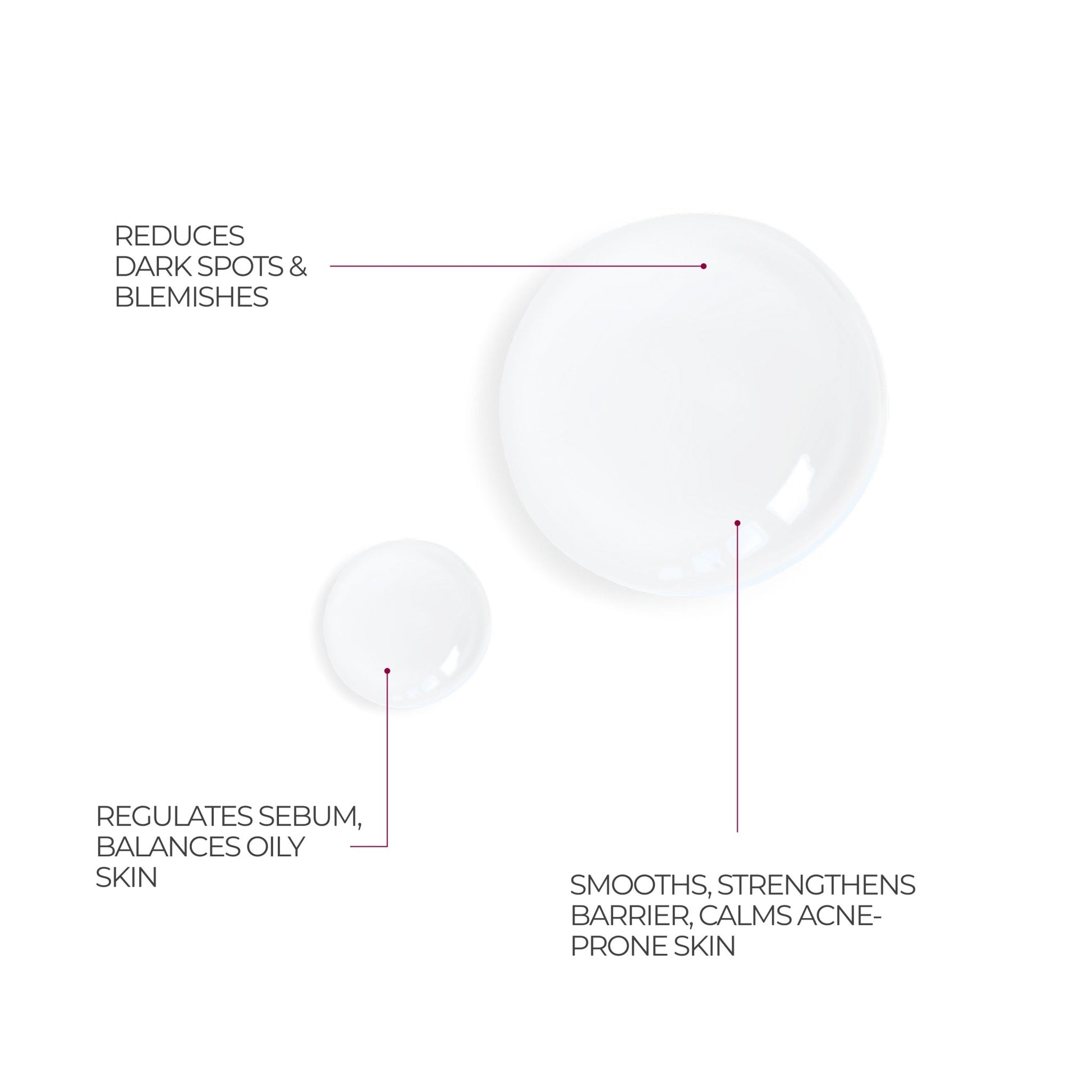 Niacinamide 10% + Zinc 1% Serum - Skinence – Professional Dermacare