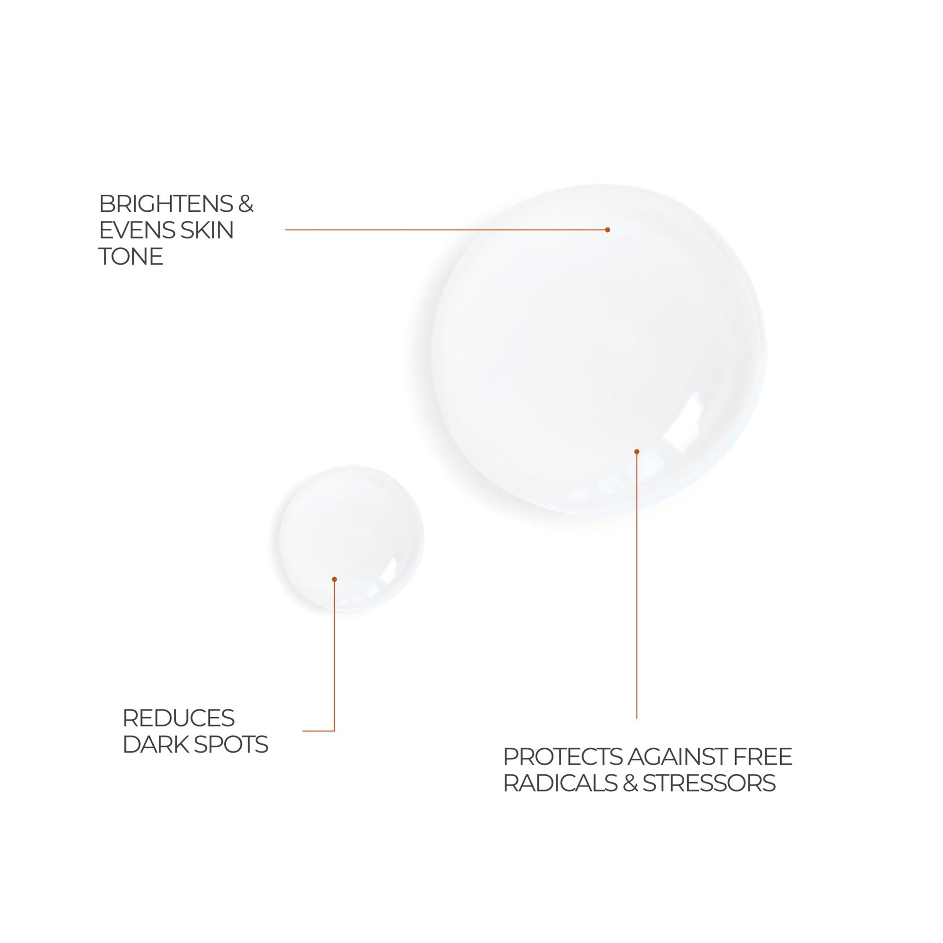 Vitamin C+ Brightening Serum - Skinence – Professional Dermacare